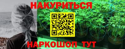 каннабис Будённовск