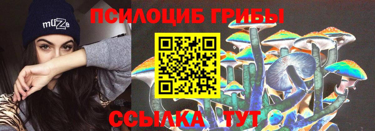 Псилоцибиновые грибы мицелий Волхов