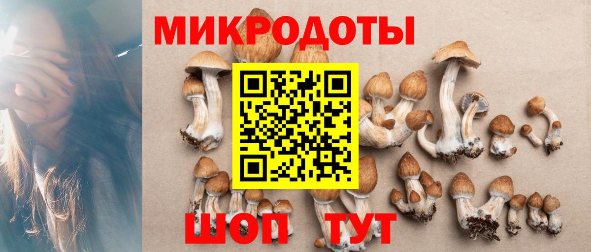 Волхов  Псилоцибиновые грибы мицелий  Галлюциногенные грибы Psilocybe  Вход с VPN 